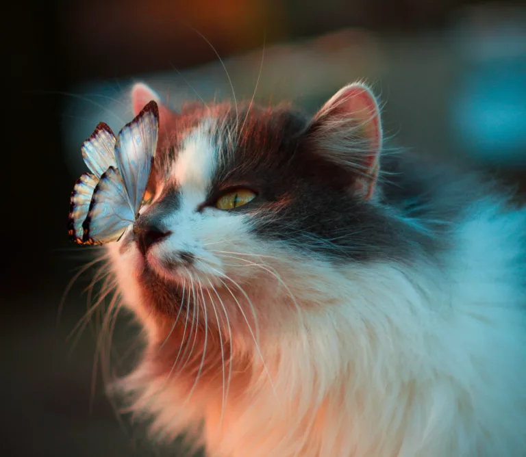 Mathilde und der Schmetterling